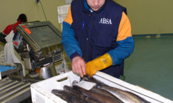 Miguel Neira: »La principal crisis de la pesca es no disponer de cuotas suficientes para rentabilizar las empresas»